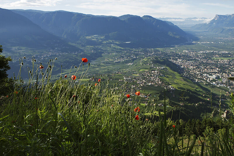 Dorf-Tirol-Meran_MGM_Frieder-Blickle